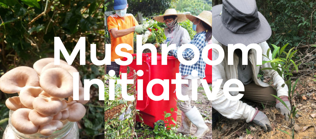 Three photos represent the non-profit Mushroom Initiative